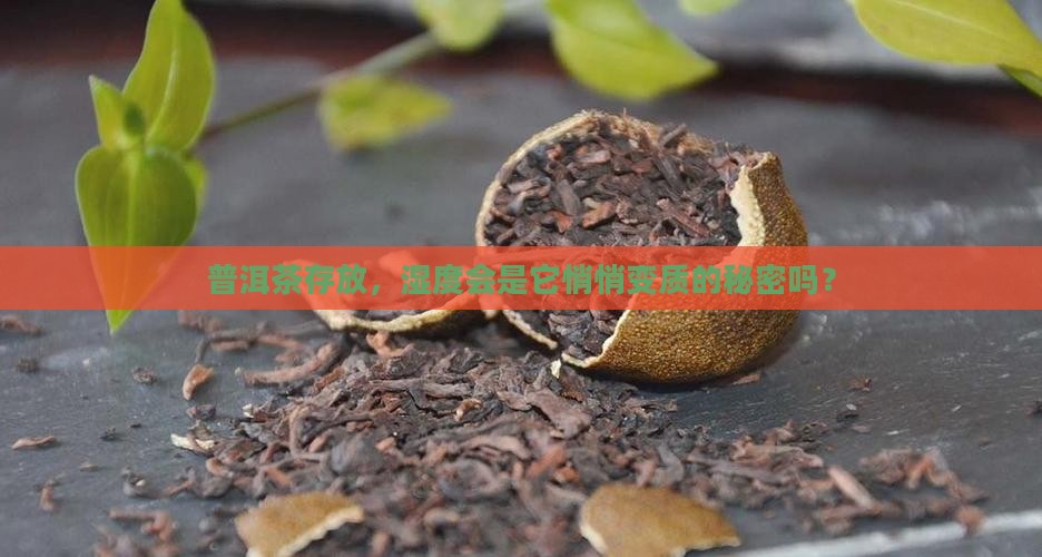普洱茶存放，湿度会是它悄悄变质的秘密吗？