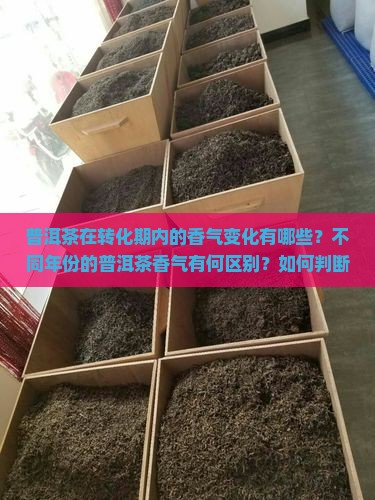 普洱茶在转化期内的香气变化有哪些？不同年份的普洱茶香气有何区别？如何判断普洱茶转化期香气是否正常？