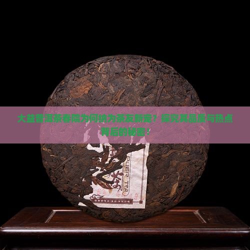 大益普洱茶春院为何纳为茶友新宠？探究其品质与热点背后的秘密！