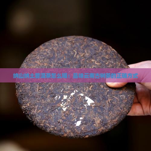 纳山纳土普洱茶怎么喝：品味云南古树茶的正确方式