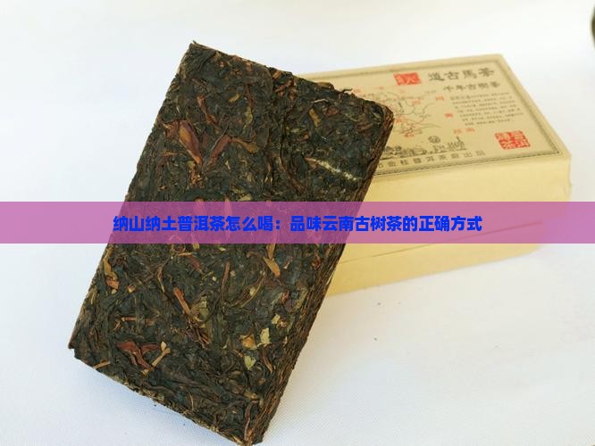 纳山纳土普洱茶怎么喝：品味云南古树茶的正确方式