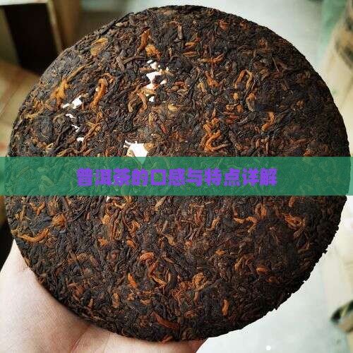 普洱茶的口感与特点详解
