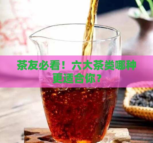 茶友必看！六大茶类哪种更适合你？