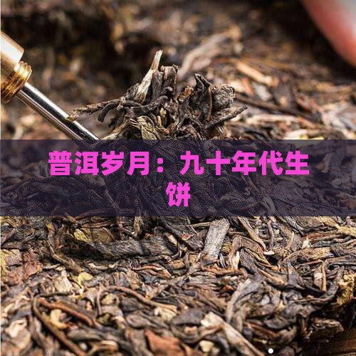 普洱岁月：九十年代生饼