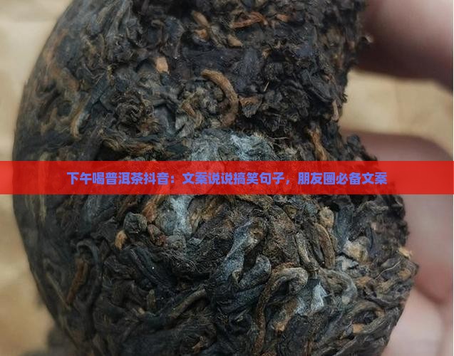 下午喝普洱茶抖音：文案说说搞笑句子，朋友圈必备文案