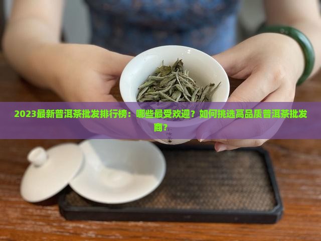 2023最新普洱茶批发排行榜：哪些最受欢迎？如何挑选高品质普洱茶批发商？