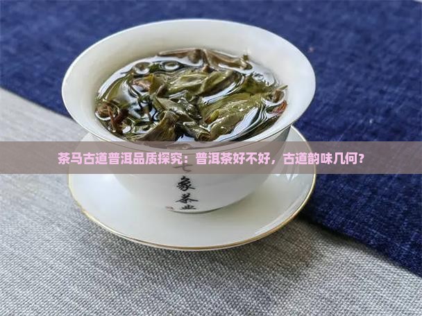 茶马古道普洱品质探究：普洱茶好不好，古道韵味几何？