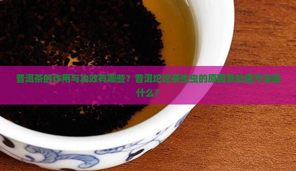 普洱茶的作用与功效有哪些？普洱坨坨茶生虫的原因及处理方法是什么？