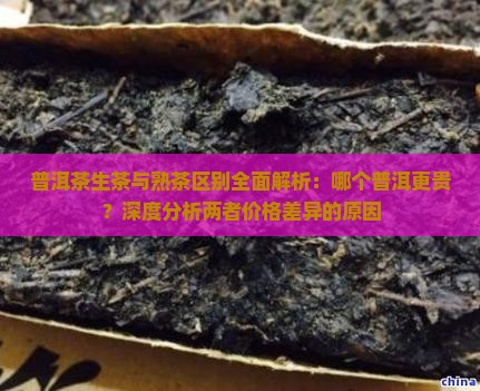 普洱茶生茶与熟茶区别全面解析：哪个普洱更贵？深度分析两者价格差异的原因