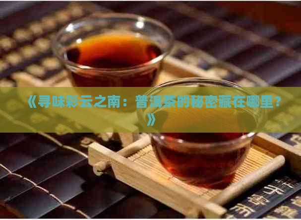 《寻味彩云之南：普洱茶的秘密藏在哪里？》