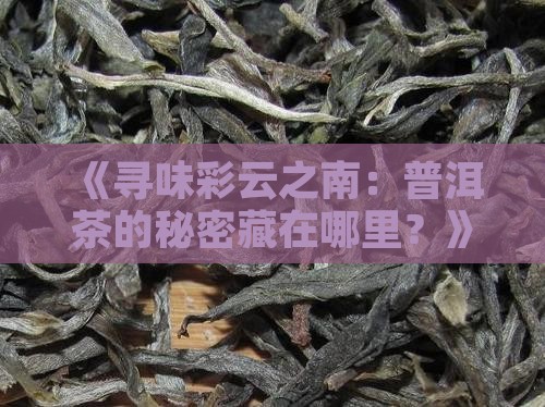 《寻味彩云之南：普洱茶的秘密藏在哪里？》
