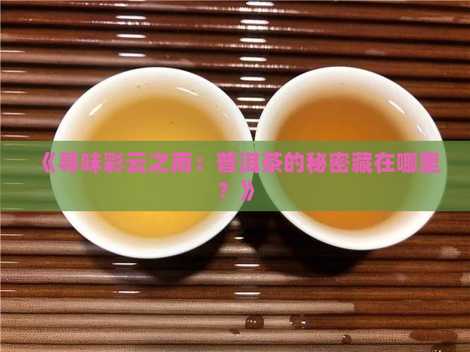 《寻味彩云之南：普洱茶的秘密藏在哪里？》