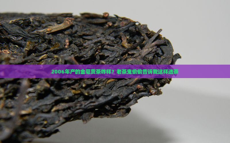 2006年产的金毫贡茶咋样？老茶鬼偷偷告诉我这样选茶