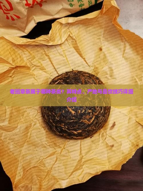 老班章茶属于哪种茶类？其特点、产地与品饮技巧详细介绍