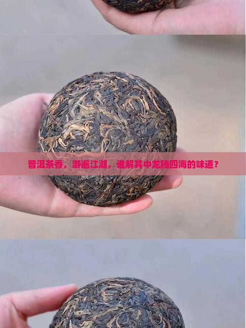 普洱茶香，游遍江湖，谁解其中龙腾四海的味道？