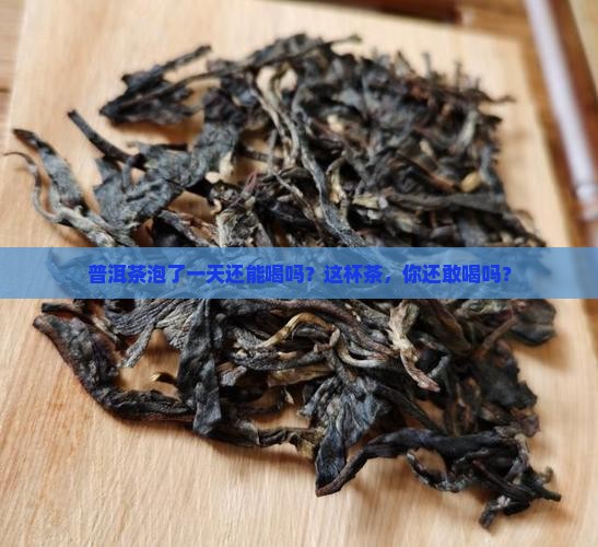 普洱茶泡了一天还能喝吗？这杯茶，你还敢喝吗？