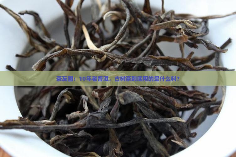 茶友圈：10年老普洱，古树茶到底用的是什么料？