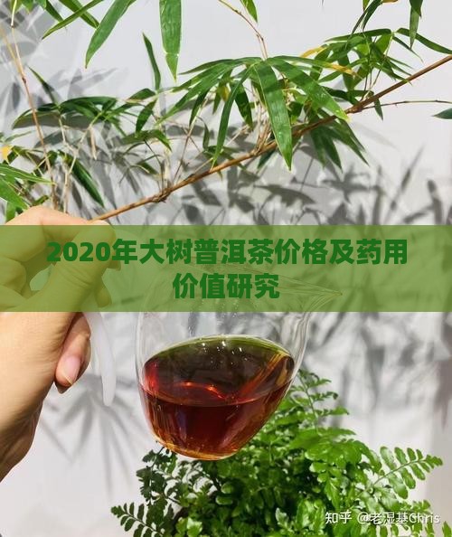 2020年大树普洱茶价格及药用价值研究