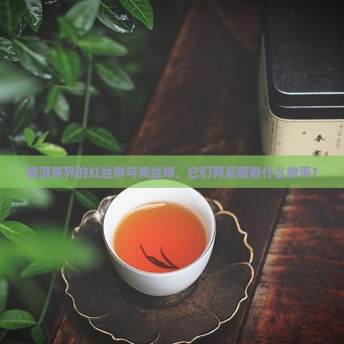 普洱茶界的红丝带与黄丝带，它们背后藏着什么故事？