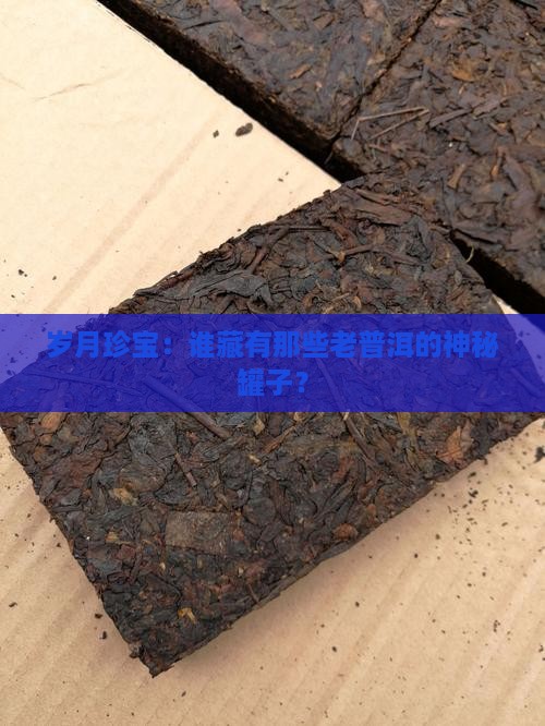 岁月珍宝：谁藏有那些老普洱的神秘罐子？