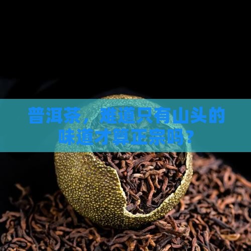普洱茶，难道只有山头的味道才算正宗吗？