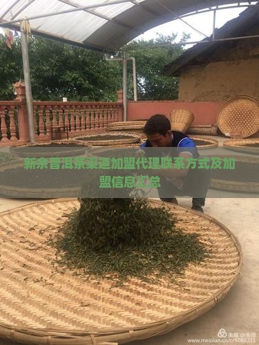 新余普洱茶渠道加盟代理联系方式及加盟信息汇总