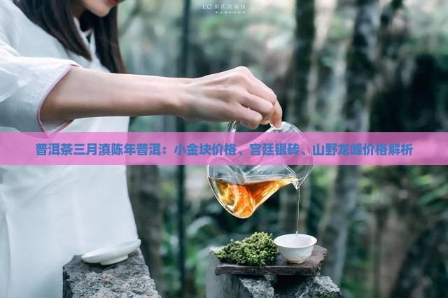 普洱茶三月滇陈年普洱 普洱茶三月滇陈年普洱
