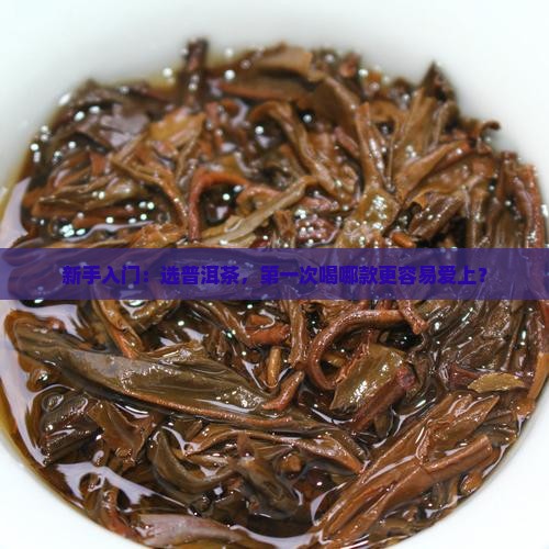 刚接触普洱茶买哪款好些