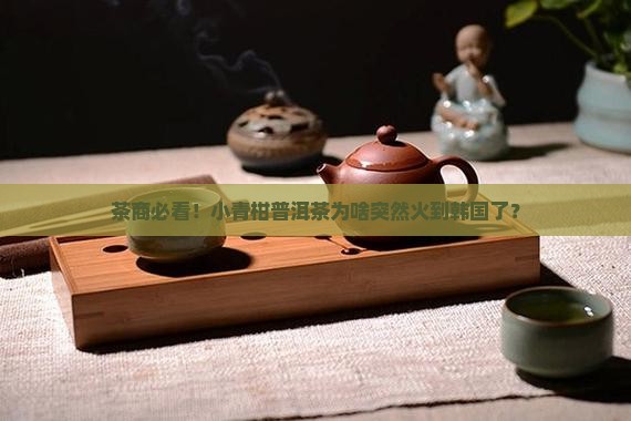 小青柑普洱茶出口韩国