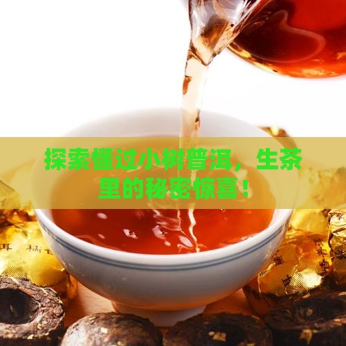 懂过小树普洱茶生茶 懂过小树普洱茶生茶