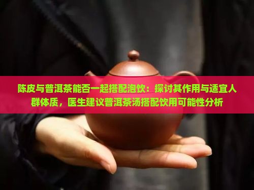 陈皮加普洱茶可以泡吗