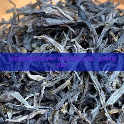 云南的熟的普洱茶好吗