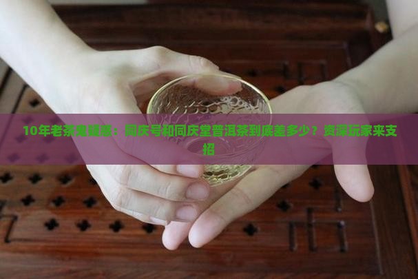 同庆号和同庆堂普洱茶 同庆号和同庆堂普洱茶