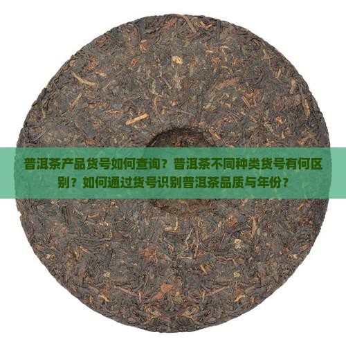 普洱茶产品货号是什么