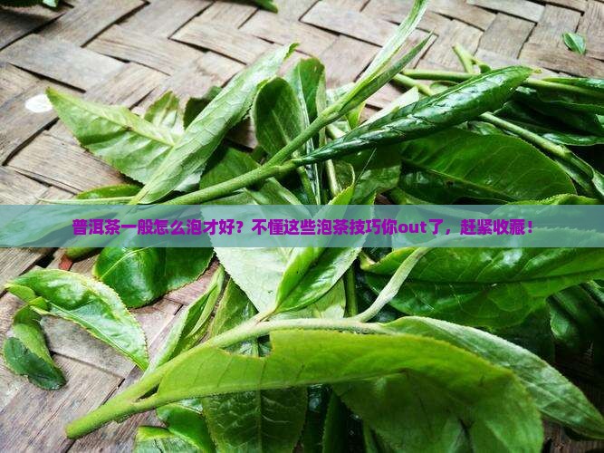 普洱茶一般怎么泡才好