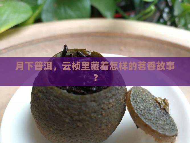 普洱茶云桢茗月