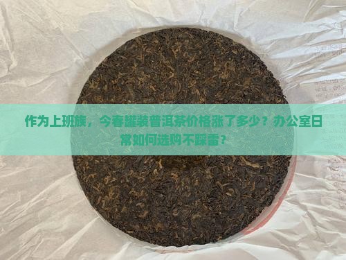 罐装普洱茶最新价格