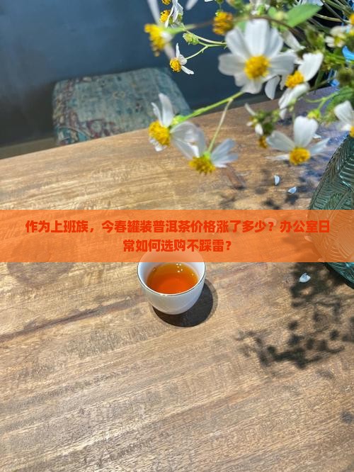 罐装普洱茶最新价格