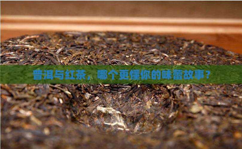 普洱茶和红茶的不同