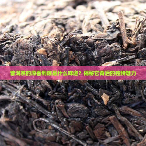 普洱茶原香是什么意思啊