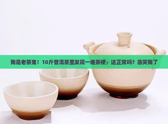 普洱茶茶里有茶梗