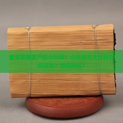 普洱茶哪里的是小叶种的