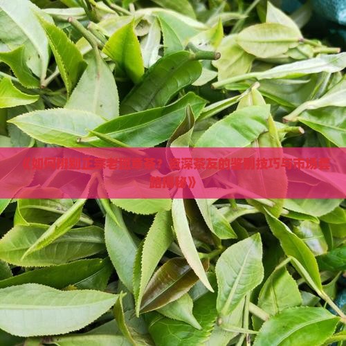 怎么识别老班章茶