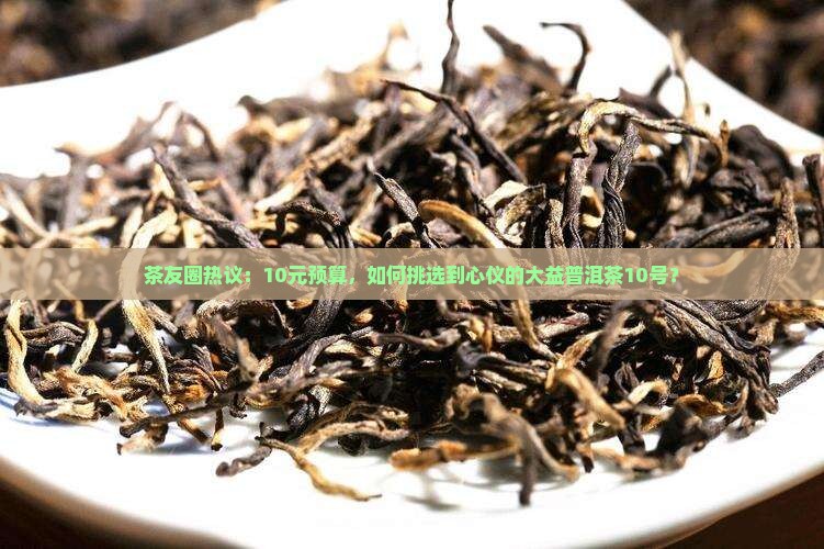 大益普洱茶10号