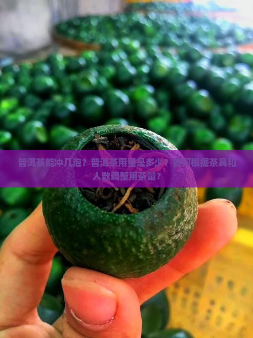 普洱茶能冲几泡普洱茶用量