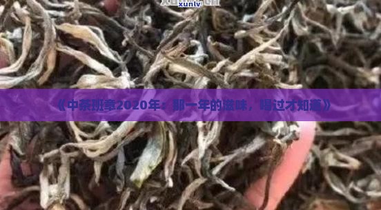 中茶班章2020年