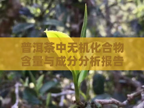 普洱茶无机化合物含量多少