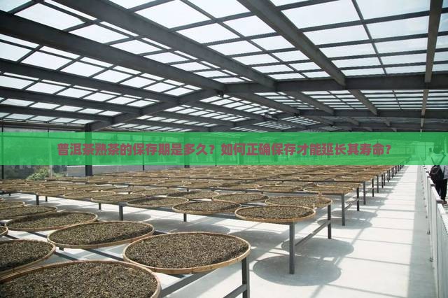 普洱茶熟茶保存期