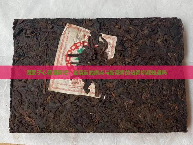 易武子心普洱茶吧