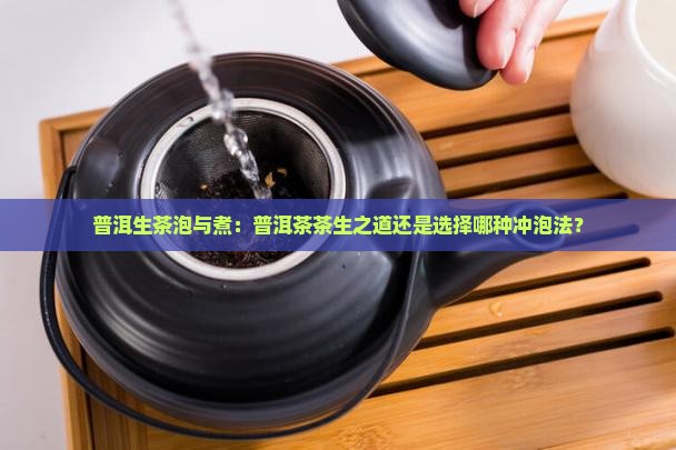 陈香普洱茶生茶泡还是煮